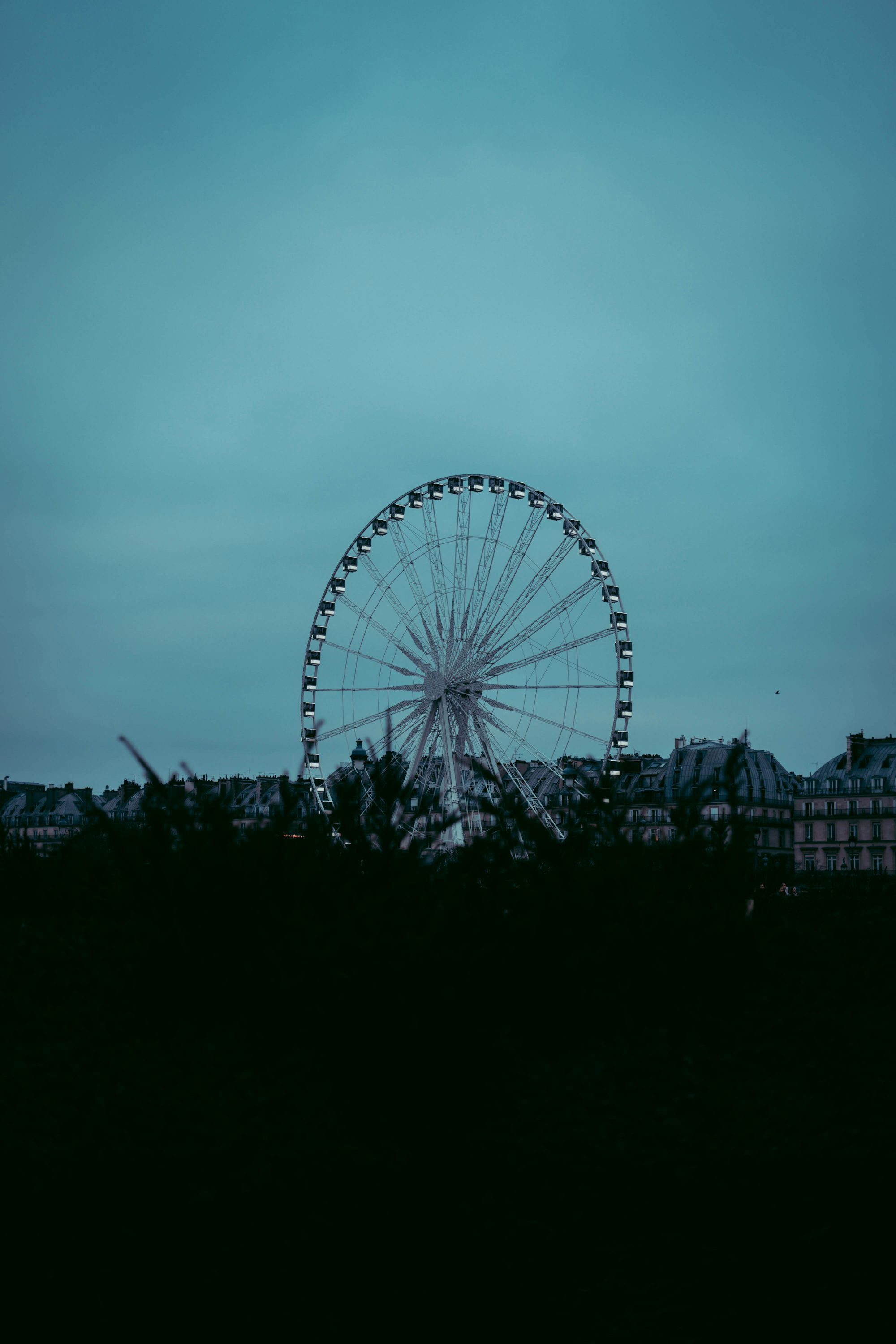a large ferris wheel sitting in the middle of a field