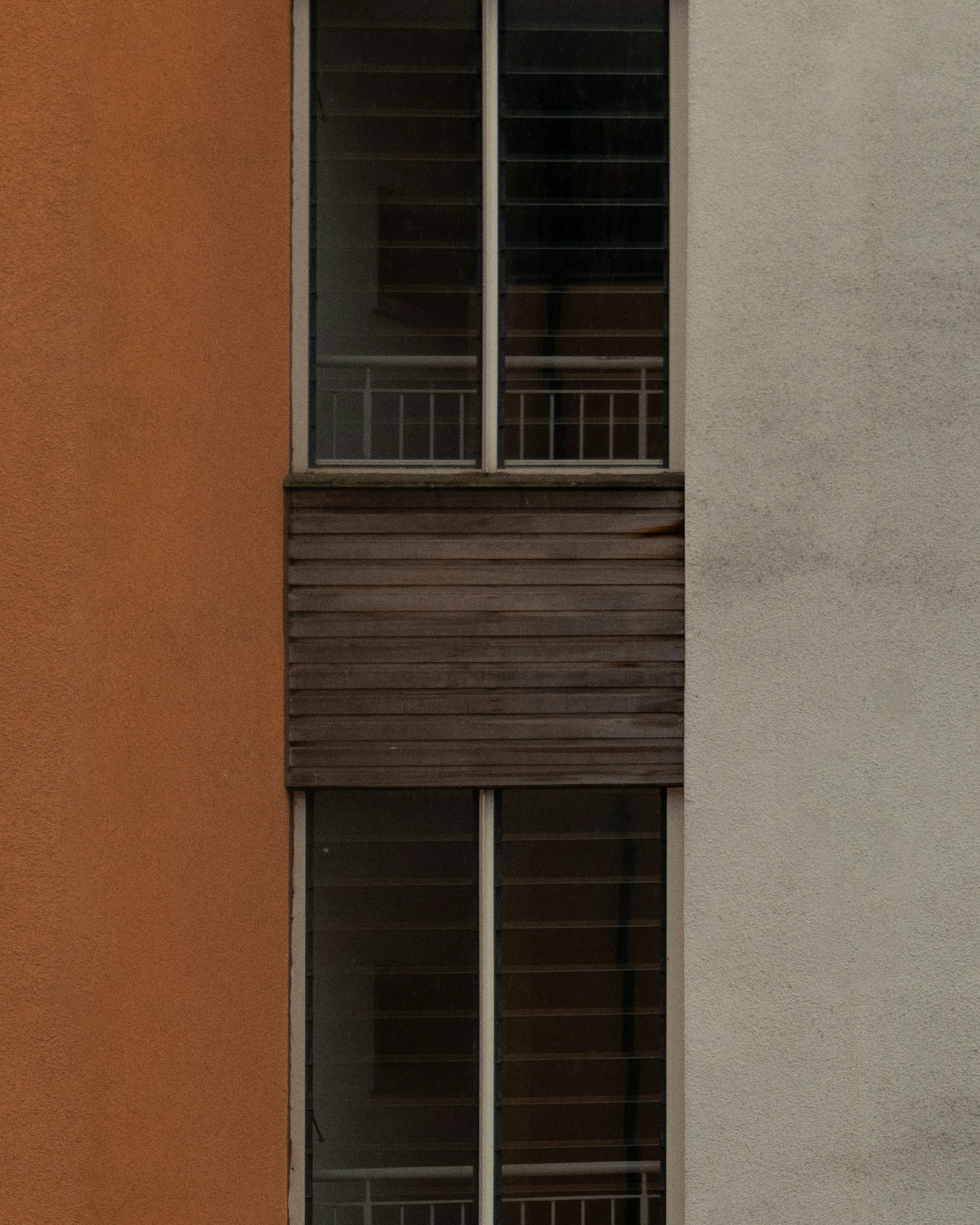 a black and white cat sitting on a window sill